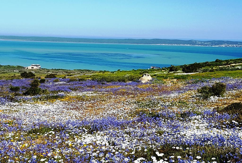 Kian'S Place Holiday Home Langebaan Exterior photo